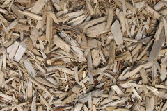 biomass boilers Mangrove Green